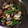 しみさ's cooksnap of when they made あさりといんげん豆のワイン蒸し.