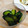 なぁチャん's cooksnap of when they made きゅうりの漬物.