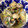 aicafe's cooksnap of when they made つぼみ丸の簡単あさりの酒蒸し.