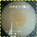 かおぶーすけ's cooksnap of when they made はちみつで美味しくご飯.