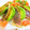 たくのスプーン's cooksnap of when they made ちょっとスパイシーなマグロのたたき.
