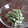 オリク's cooksnap of when they made いんげんのわさびマヨ和え.