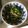 ともぱんたから's cooksnap of when they made ピーマンとじゃこの昆布茶炒め.