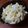noamanma's cooksnap of when they made 白菜とリンゴのサラダ.