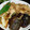ぷくぷく金魚's cooksnap of when they made 夏野菜とむね肉丼♪あっさり胡麻ぽんで.