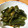 ミー子♪'s cooksnap of when they made ししとうの佃煮.