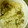 ちなつのママ's cooksnap of when they made エリンギと昆布の炊き込みご飯.