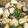 コタポン太's cooksnap of when they made 夏野菜の煮浸し.