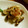 ぽよぽよちぃ's cooksnap of when they made 爽やか♪しめじの梅おろしあえ♪.