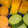 す1222's cooksnap of when they made 蒸し野菜.