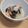 きらり流れ星's cooksnap of when they made さっぱり酢の物！.