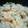 naoworks's cooksnap of when they made しめじとまいたけの炊き込みごはん.