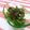 赤い電話's cooksnap of when they made 簡単すぎ！ピーマンと塩昆布の和え物.