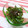 赤い電話's cooksnap of when they made 簡単すぎ！ピーマンと塩昆布の和え物.