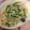 かんな＞＜'s cooksnap of when they made ベーコンとほうれん草のクリームパスタ.