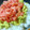 kame09's cooksnap of when they made アボマヨまぐろたたき丼.