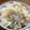 akinan☆'s cooksnap of when they made ＊炊き込み里芋ご飯＊.