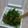 野菜味噌's cooksnap of when they made ネバネバ！おかひじきと絹さやの納豆和え☆.