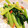 竹内かわぽん's cooksnap of when they made 簡単！菜の花のおひたし.