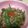 うじりん's cooksnap of when they made 野菜を食べよう☆ピーマンのきんぴら.