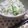 オニオンベーグル's cooksnap of when they made かぶの葉で♪じゃこ菜飯.