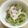 chiapuku's cooksnap of when they made お手軽♡かいわれ大根のサラダ.