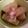 mifah's cooksnap of when they made ごはんがすすみすぎる～！大根の煮物.