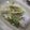 kana叶's cooksnap of when they made 太刀魚とﾈｷﾞの塩麹蒸し(鱈でもOK).