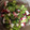 ヌーぴー's cooksnap of when they made たこときゅうりの酢の物.