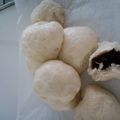 たろう１１１'s cooksnap of when they made イーストとＢＰで作るあんまん～ＨＢ～.