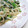 ちずぴよ's cooksnap of when they made ☆ほうれん草ともやしの味噌炒め☆.