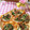 Akeimmy's cooksnap of when they made ねぎ消費★簡単ピザ風チーズお焼き.