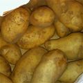 ｍｍｍマロちん's cooksnap of when they made じゃがいもの保存.