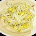 るるぽぽぽ's cooksnap of when they made 【簡単５分！】豆もやしナムル.
