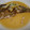 kucina's cooksnap of when they made かれいの　（筍、ねぎソース）かけ.