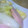 ぽんぷー's cooksnap of when they made おさかなのソーセージちゃんぷる.