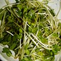 もりのりころ's cooksnap of when they made カイワレ大根のゴマおひたし.