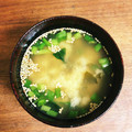RYK1205's cooksnap of when they made 簡単で美味しい　わかめの汁.