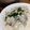 sakase's cooksnap of when they made 簡単！ビーフストロガノフ？クリーム煮？.