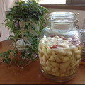 mmayuちゃん♪'s cooksnap of when they made ➏　お家で作ろう～簡単らっきょう漬け　➏.