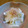 おぶうさま's cooksnap of when they made 大根のゆずマヨサラダ.