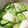 sumomocook's cooksnap of when they made 超簡単！我が家の酢の物（山芋と胡瓜）.