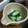 ちょまま1112's cooksnap of when they made 母直伝☆きゅうりのわさび漬け.