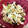 ねるの大好き's cooksnap of when they made 簡単☆ささみと胡瓜の明太子和え.