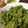 oyabin214's cooksnap of when they made 簡単おつまみ③焼き枝豆.