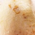 chuyu1682's cooksnap of when they made なめ茸の簡単炊き込みご飯.
