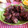 ひつじ0822's cooksnap of when they made まぐろの竜田揚げ☆血合い部分もおいしく！.