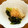mijiiinko's cooksnap of when they made 小松菜とエリンギのおひたし.