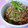 ピンクのたまご's cooksnap of when they made 大根の皮で！ゴマ味噌きんぴら.