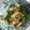 けいよせふ's cooksnap of when they made いんげんと高野豆腐…めんつゆ・ごまだれ….